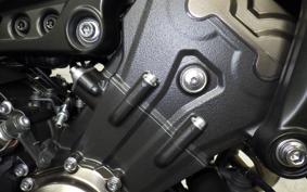 YAMAHA MT-09 ASP 2019 RN52J