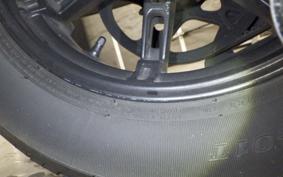 HARLEY RH975 2022