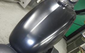 OTHER +HD. XL883N 2015