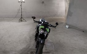 KAWASAKI Z250 EX250P