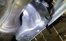 KAWASAKI NINJA ZX-6R A 2025 ZX636J