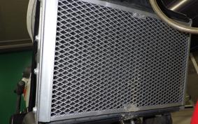 YAMAHA RZ250R 2024 29L