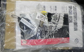 HARLEY FLSB 1750 2025