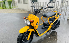 HONDA ZUMAR AF58