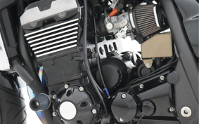 KAWASAKI ZRX1200 DAEG 2017 ZRT20D