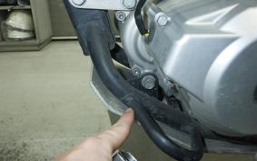 KAWASAKI KLX250 Gen.2 LX250S