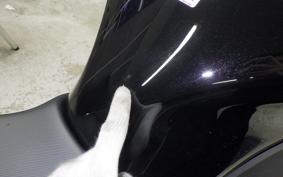 KAWASAKI NINJA 1000SX 2024 ZXT02K