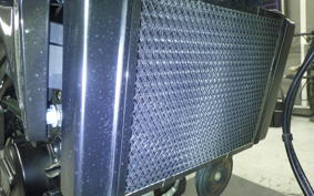 BENELLI レオンチーノ250 1992