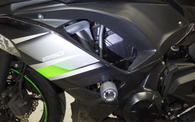 KAWASAKI NINJA 650 A 2019 ER650H