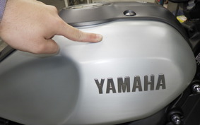 YAMAHA XSR900 2021 RN56J