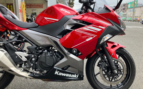 KAWASAKI NINJA 250 EX250P