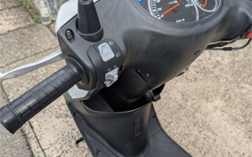 YAMAHA AKUSHI STREET SE53J