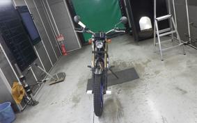 YAMAHA TRICKER DG10J