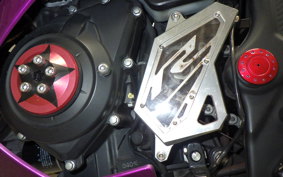 YAMAHA YZF-R25 2018 RG10J