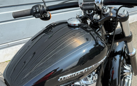 HARLEY FXBRS 2022 YHK