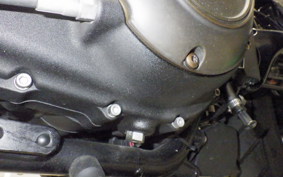 HARLEY XL1200NS 2020