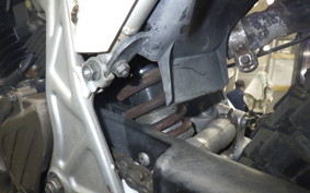 HONDA TLR250R 2007 MD18