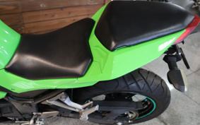 KAWASAKI NINJA 250 EX250L
