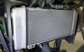 HONDA CB250RA 2019 MC52