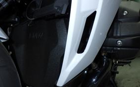 BMW R1300RS ASA 2025