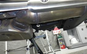 TRIUMPH SPEED400 2024