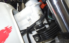 HONDA XLR250 BAJA 2008 MD22