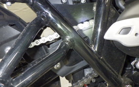 TRIUMPH SCRAMBLER 900 2025