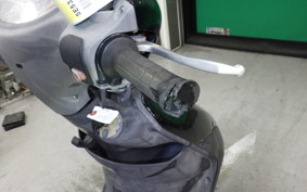 YAMAHA AXIS 125 TREET 2019 SE53J