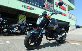 HONDA GROM JC92