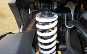 KAWASAKI Z250 SL BR250E