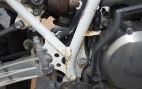 SUZUKI DJEBEL 250 2023 SJ44A