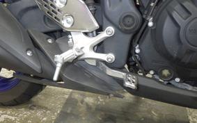 YAMAHA YZF-R25 2024 RG10J