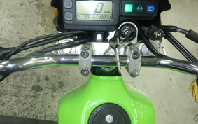 KAWASAKI SUPER SHERPA KL250G