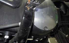 HARLEY XL883N 2015