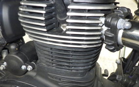 OTHER +ENFIELD ﾒﾃｵ350 2024