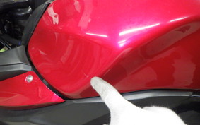 SUZUKI GSX250R 2004