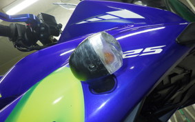 YAMAHA YZF-R25