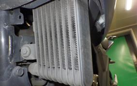 SUZUKI GIXXER 250 2006 ED22Y