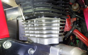 HONDA APE 100 2013 HC07
