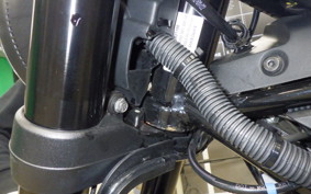 HUSQVARNA SVARTPILEN 401 2024