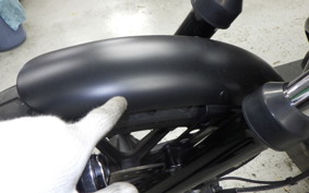 HARLEY XL883N 2019