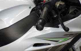 KAWASAKI ZX 10 NINJA ABS 2018