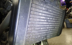 HONDA VTR 250 2024 MC33