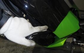 KAWASAKI NINJA 1000 2012