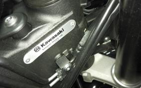 KAWASAKI NINJA 1000SX 2024 ZXT02K