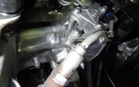 HONDA ADV160 2024 KF54