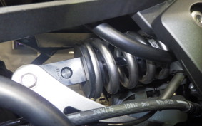 KAWASAKI NINJA 1000 SX 2020