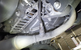 YAMAHA CYGNUSｸﾞﾘﾌｧｽ 2025 SEJ4J