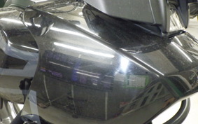 HARLEY ﾊﾟﾝ AMERICA1250S 2021