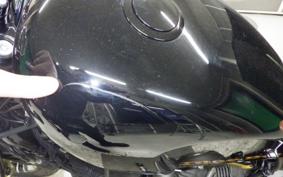 OTHER +HD. XL1200X 2019